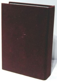 CRISTO MEDINACELI EN LIBRO URNA (6)